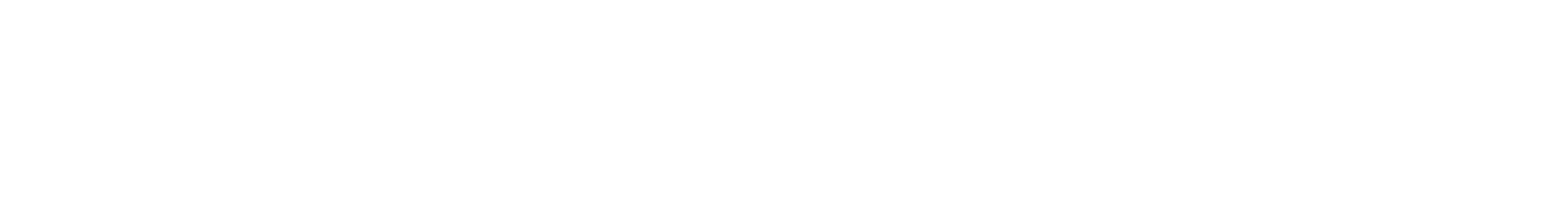 neurovizr Logo_white