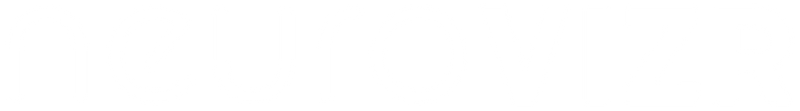 neuroVIZR Logo