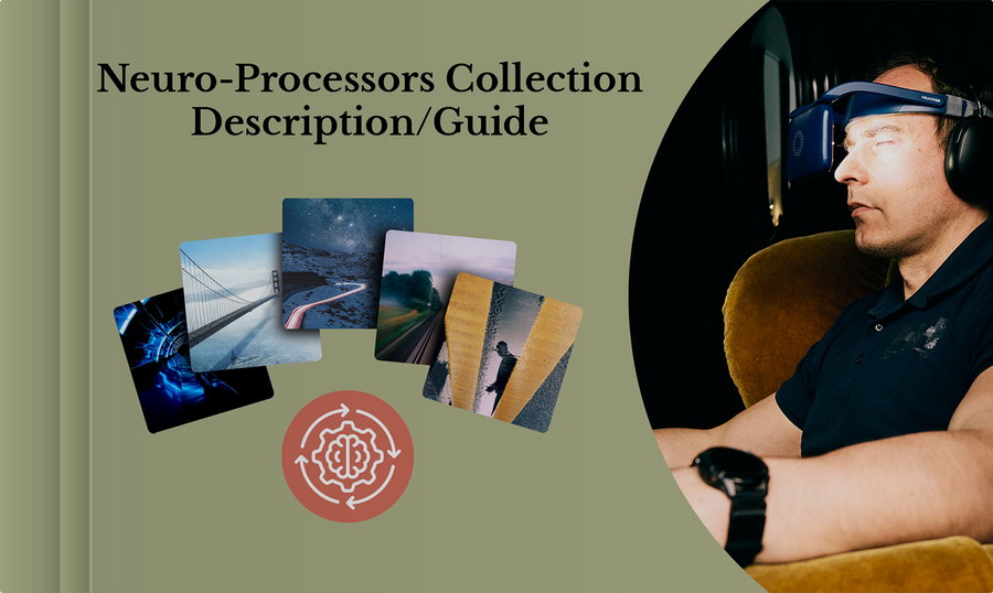 Guida alla Collezione Neuro-Processing